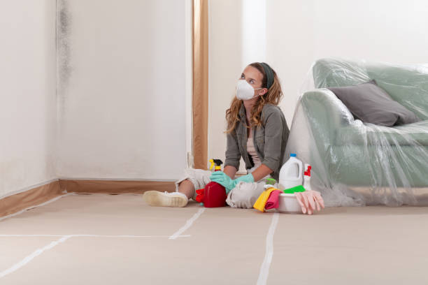 Reliable Mold Remediation contractor in Fife, WA by 24 Hour Mold Removal